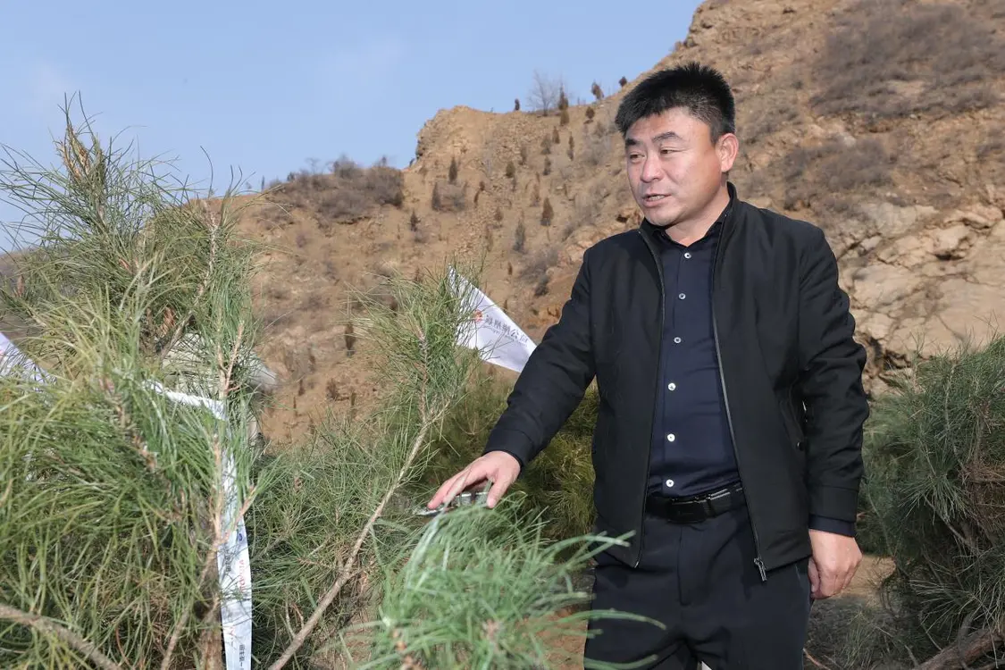 屈場長在現(xiàn)場講述栽植油松的要領