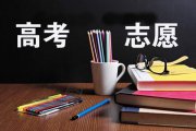 高考填報志愿，如何讓人年入百萬？