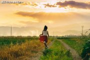 高考查分后，我發(fā)現(xiàn)一個高分秘密：這種家庭養(yǎng)出的孩