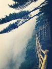 高考：這8個(gè)專業(yè)不考研前途迷茫，就業(yè)難，考研后薪資