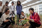 最“香”的本科專業(yè)來了！喝咖啡邊上課 我國首批咖啡本科學生入學