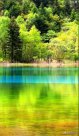 大一新生與老師交流時(shí)哪些話題能拉近師生距離