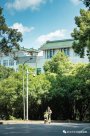 武漢大學(xué)官宣“開園”！參觀無需預(yù)約 刷本人身份證進(jìn)校