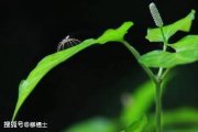 一號難求的數(shù)學(xué)學(xué)習(xí)困難門診 警惕以科學(xué)之名行反科學(xué)之實