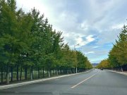 考生高考480分，成功“撿漏”985大學(xué)，親朋好友卻不建