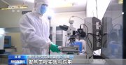 工程類博士的學(xué)位論文不再非寫不可？聽聽專家怎么說