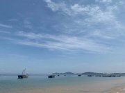 考研上岸后才了解，和導(dǎo)師相處也有“規(guī)則”，學(xué)生早