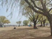 “考大學(xué)是沒指望了”，家長吐槽女兒玩手機，這事你