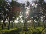 初高中孩子容易厭學(xué)擺爛，源于父母“雙標(biāo)”教育開(kāi)始