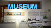 低分也能上名校？中外合辦是餡餅還是陷阱？