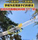 給松鼠架一座天橋 兒童友好學(xué)校重在兒童視角