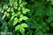 “教輔”變“教腐”利益鏈 癥結(jié)何在？