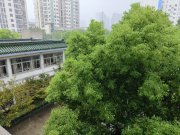 雙非學(xué)生該不該考研？