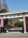 寒窗20余年輸給一篇論文？復(fù)旦博士深夜出走真相破防