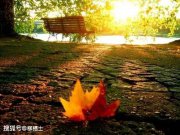 清華北大突然大擴招，什么信號？