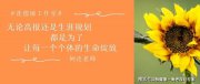 生涯規(guī)劃視角下如何進(jìn)行志愿填報(bào)?