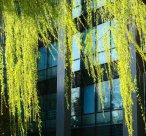 ?？粕材芸佳芯可?！如何突破限制、順利邁入更高學(xué)