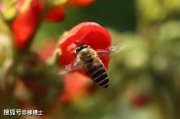 斬斷高考謠言背后的流量黑產